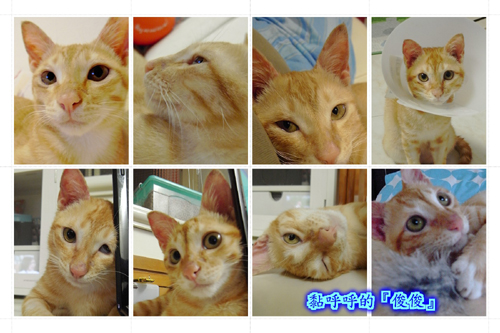 俊俊20091010.jpg