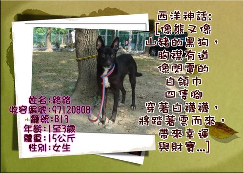 tn_路路.jpg
