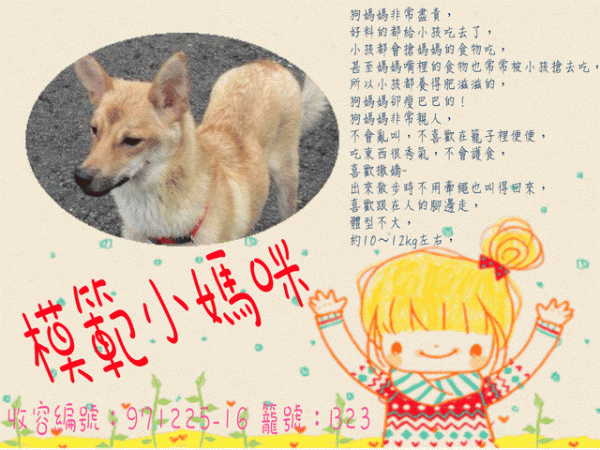 收容編號：971225-16 籠號：B23.gif