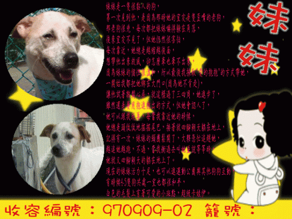 妹妹 [收容編號：970909-02 籠號：C20].gif