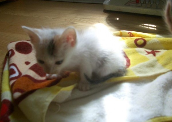 20091016噹噹-1.JPG