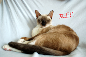 眾卿平身，以後這個家就是我最大了