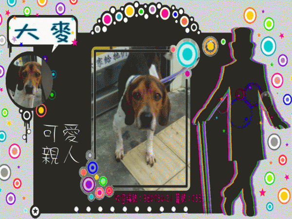 大麥.gif