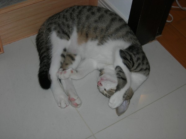 DSCN2282.JPG