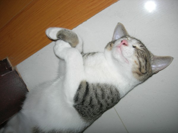 DSCN2184.JPG