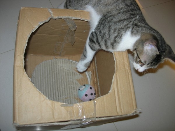 DSCN2155.JPG