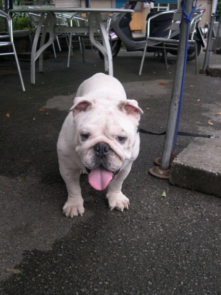 DSCN5848.jpg