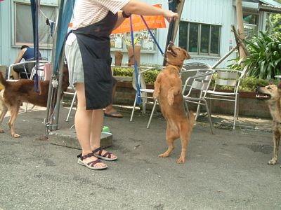 表演特技