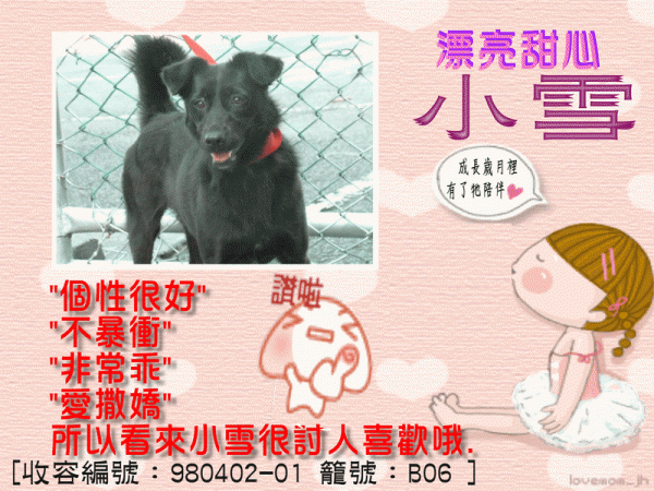 小雪[收容編號：980402-01 籠號：B06 ].gif