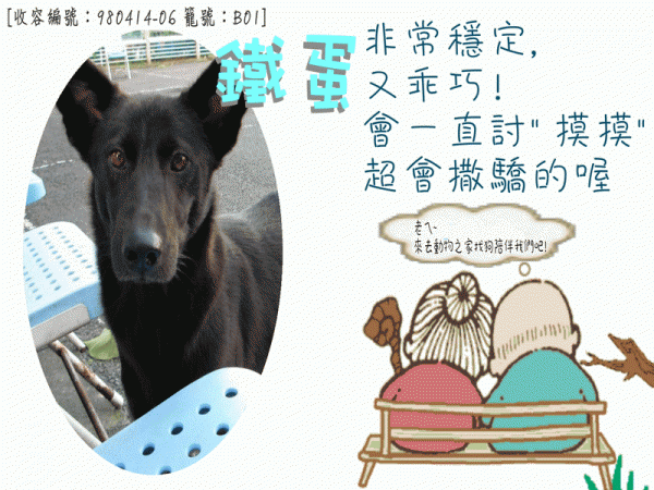 [收容編號：980414-06 籠號：B01].gif
