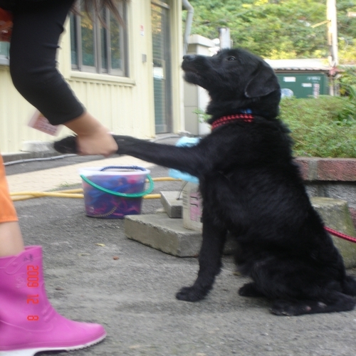 tn_DSC06344.JPG