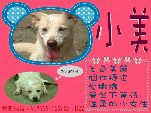 收容編號：971225-16 小美.gif