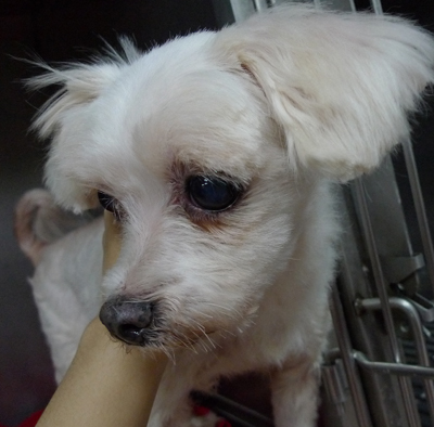 P1000089.JPG