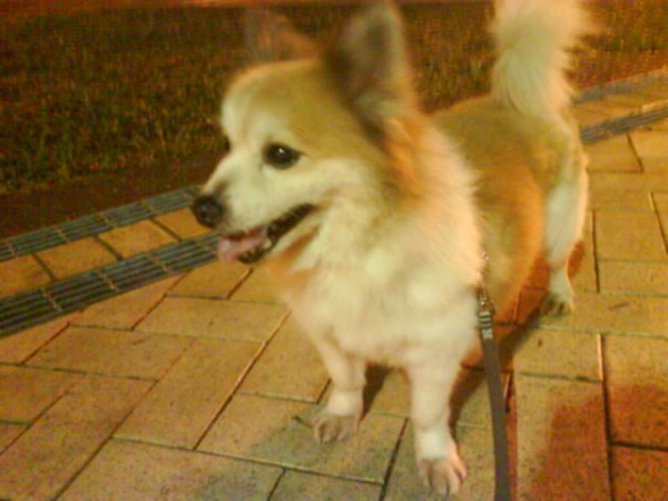 DSC04243.JPG