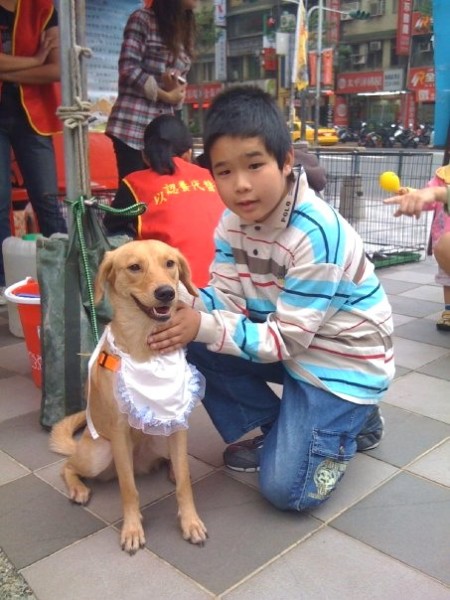小黃狗.jpg