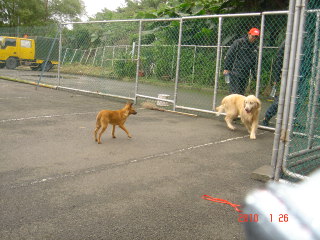 DSC00709-.JPG