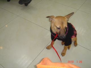DSC00715-.JPG