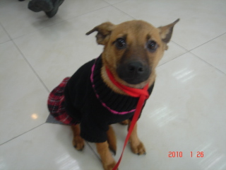 DSC00716-.JPG