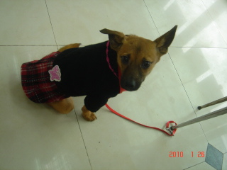 DSC00718-.JPG