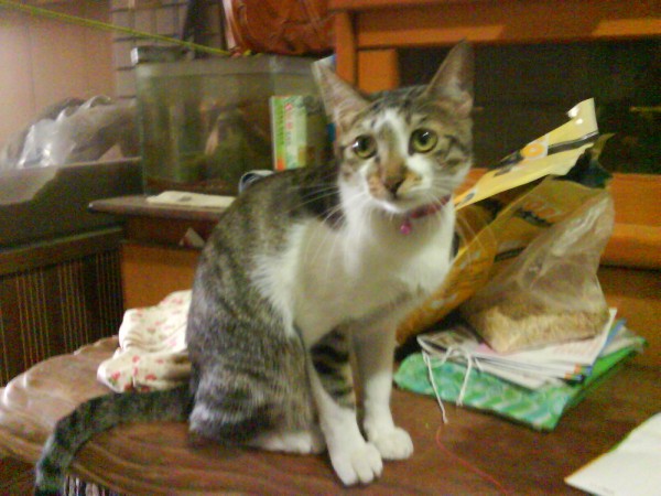 DSC01932.JPG