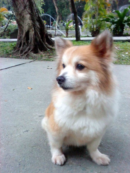 DSC00220.jpg