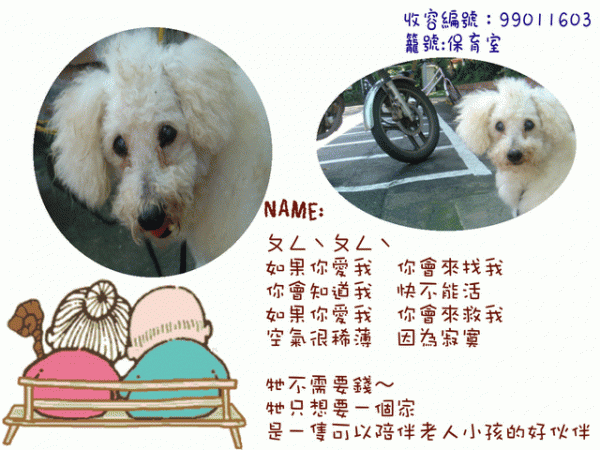 ㄆㄥˋㄆㄥˋ收容編號：99011603-.gif