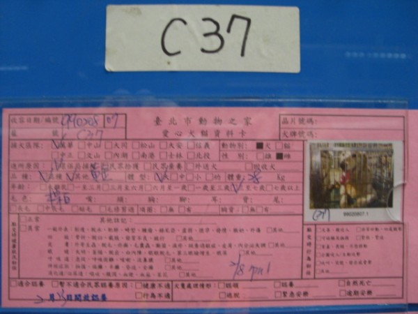 CIMG0707.JPG