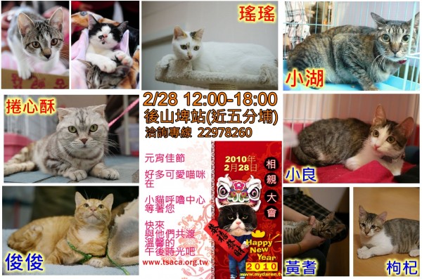元宵相親大會