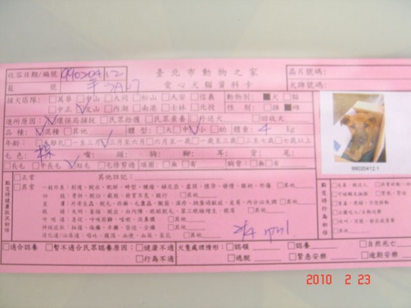 DSC01010.JPG