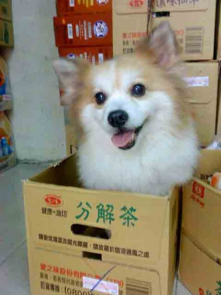 (食物出現)笑容可掬