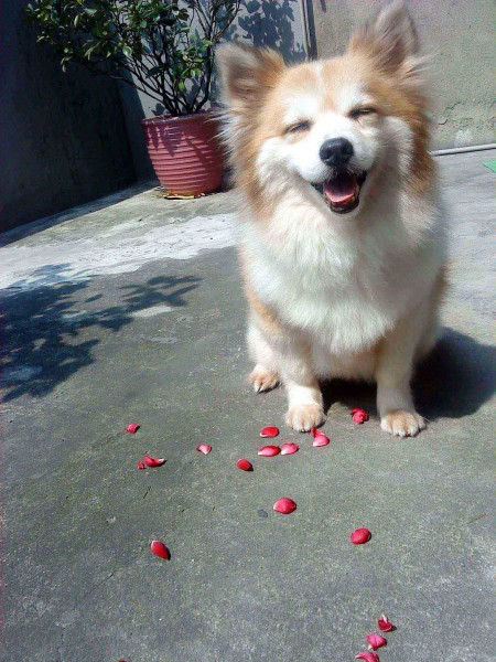眼睛睜不開了! (花被解體了..)