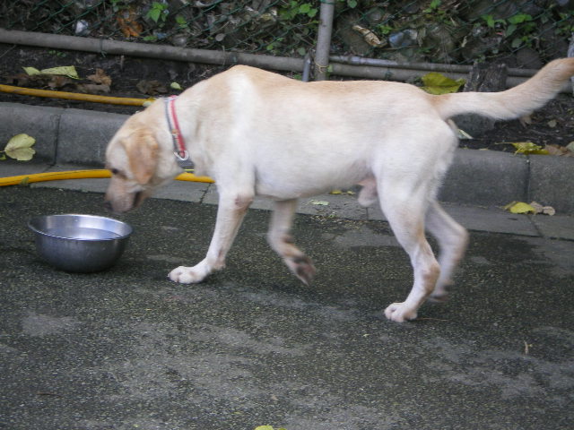 IMGP1275.JPG