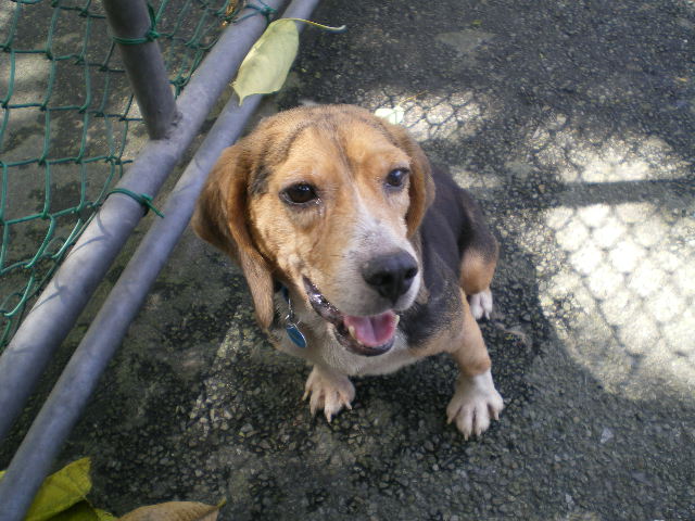 IMGP1293.JPG