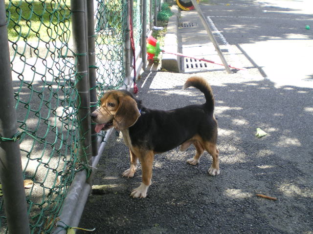 IMGP1296.JPG