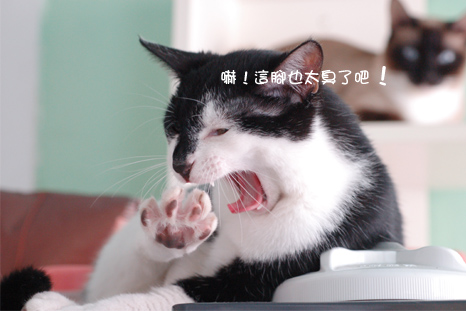 腳太臭.jpg