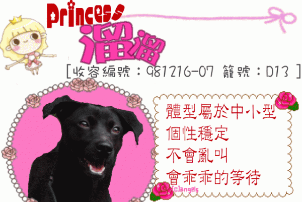 溜溜.gif