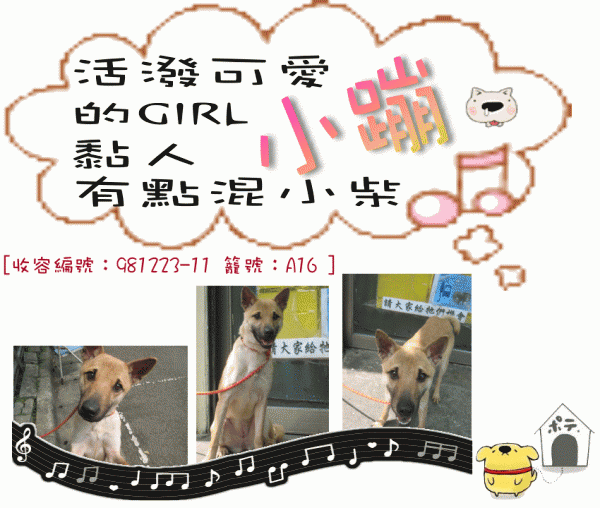 小蹦.gif