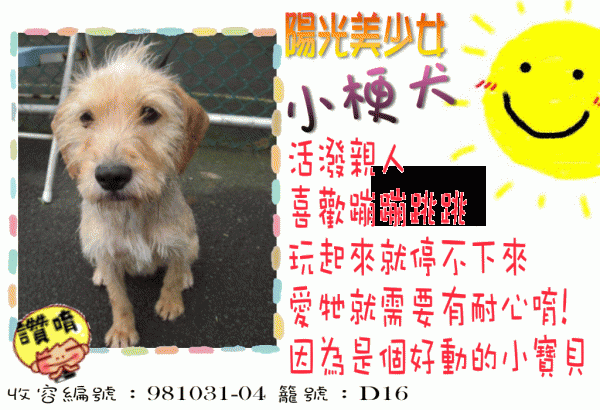 小梗犬.gif