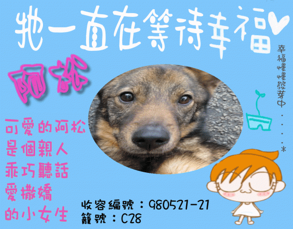阿松.gif
