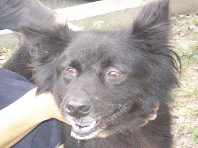 IMGP0085.jpg