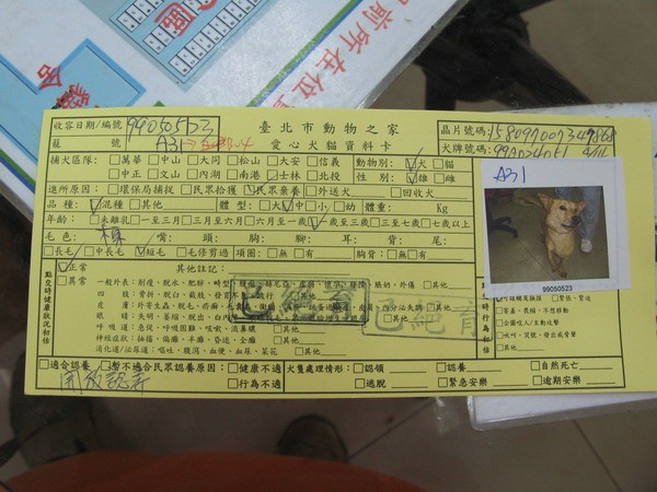 dwaidwai_card.jpg