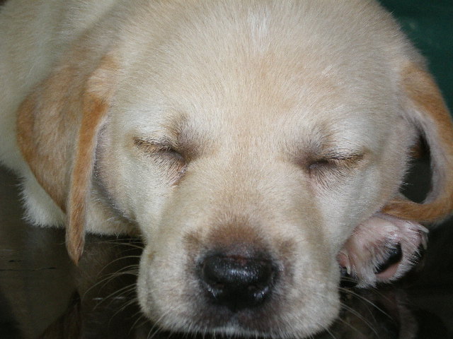 IMGP1331.JPG