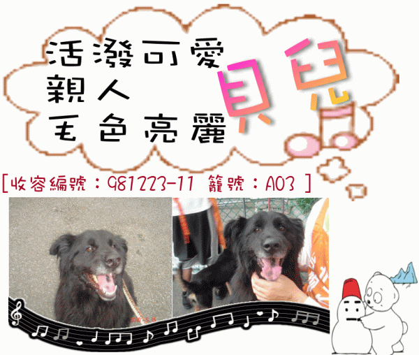貝兒.gif