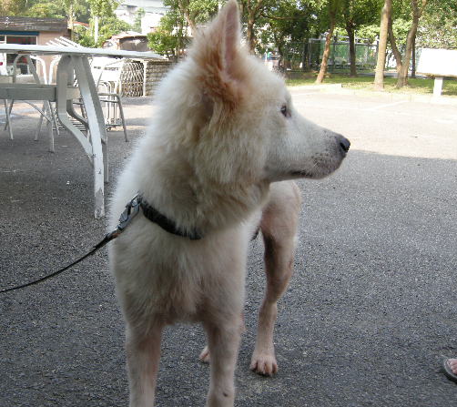 96122508C.jpg