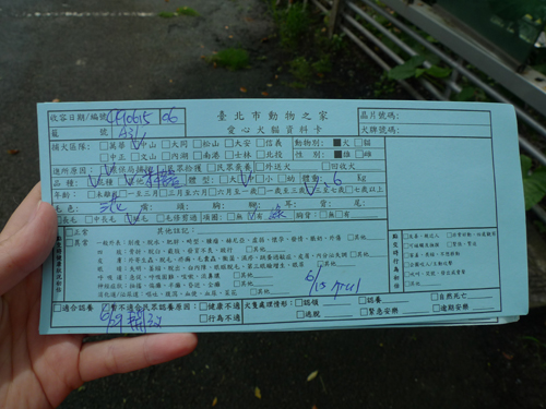P1010936.JPG