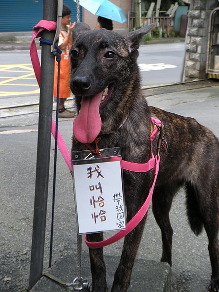 我又來了~