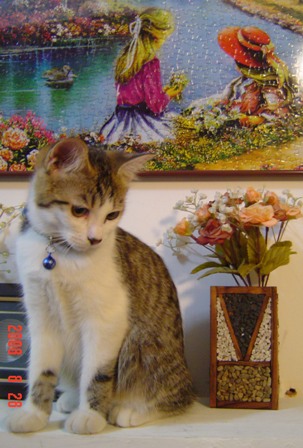 DSC04178.jpg