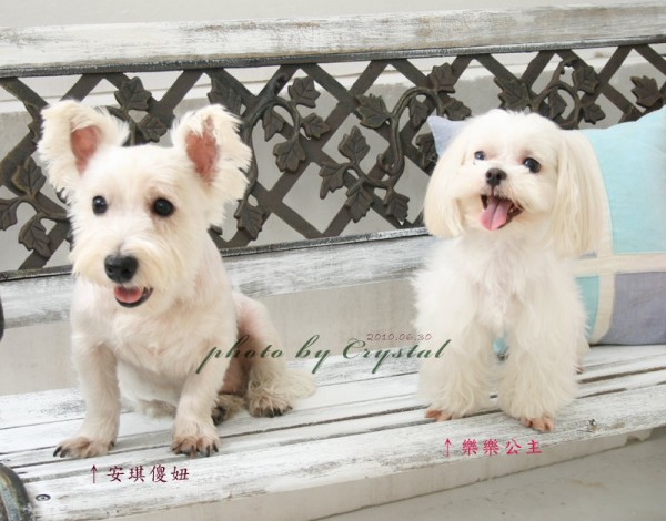 兩姊妹