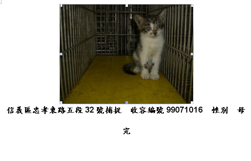 990710-6.jpg