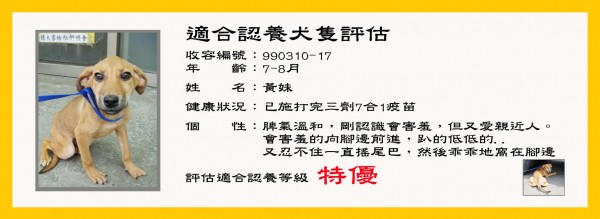黃妹 100712.jpg